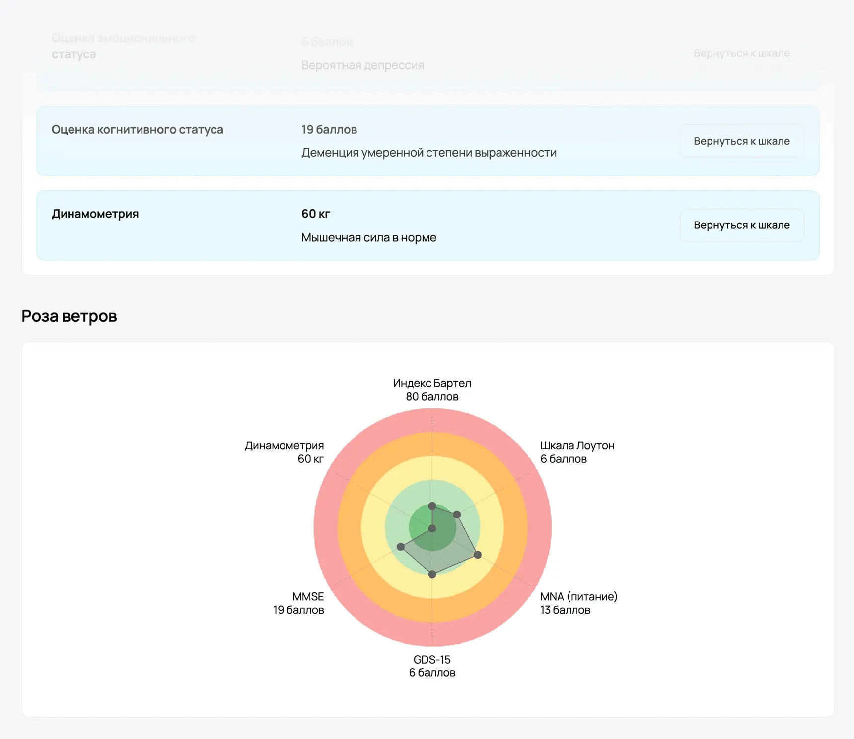 Гериатрическая шкала для комплексной оценки состояния пациентов, разработанная командой Medpoint в сотрудничестве с научным центром